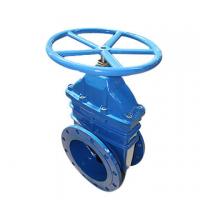 BS5163/EN 1171 Gate Valve